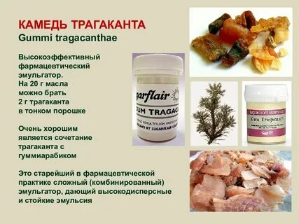 Популярных основ
