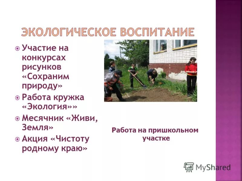 Клумбы на пришкольном участке. Пришкольный огород. Школьники в огороде. Работа на пришкольном участке. Дети на пришкольном участке.