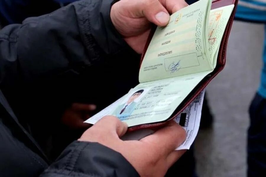 Сообщить о незаконном мигранте. Сообщить о незаконном мигранте