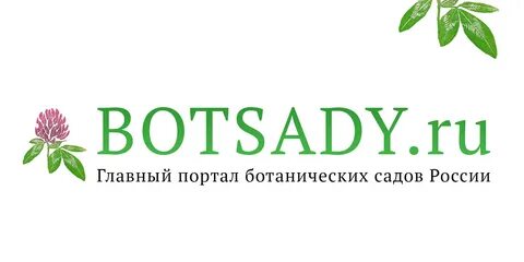Главный портал