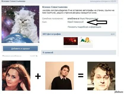 Хованский котенок