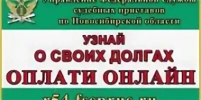 Приставы новосибирск номер телефона. Управление службы федеральных приставов по Новосибирской области. Новосибирск ФССП управление. Долги ФССП Новосиб обл.