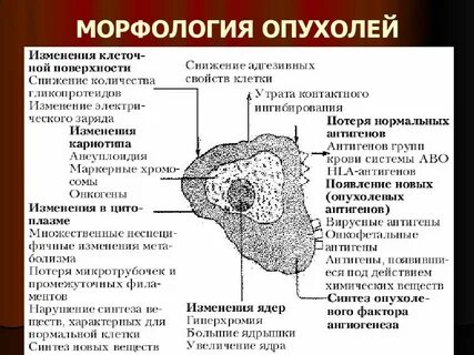 Злокачественная структура