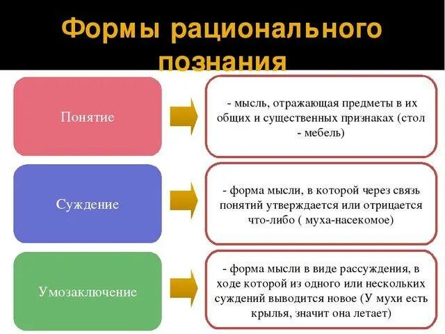 Познание предложения. Формы рационального познания. Формы рационального Познани. Три формы рационального познания. Рациональное познание примеры.