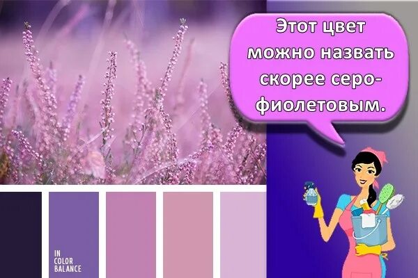 Фиолетовый состоит из цветов. Сиреневый цвет состоит из. фиолетовый цвет состоит из. как сделать лавандовый цвет. сиреневый из чего состоит.