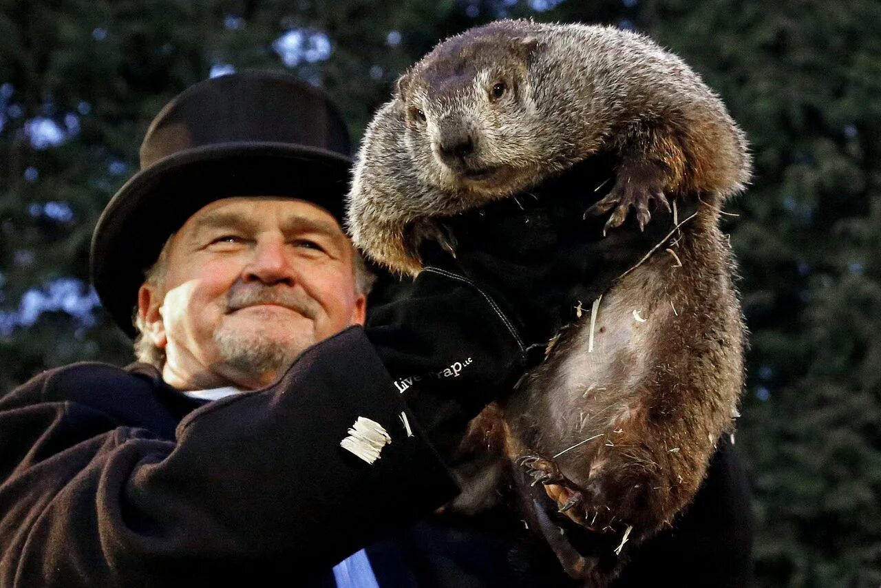 Знаменитый фил из панксатони 5 букв. Панксатонский Фил сурок. День сурка (Groundhog Day). Сурок Фил из Пенсильвании. Сурок Фил из Панксатони.