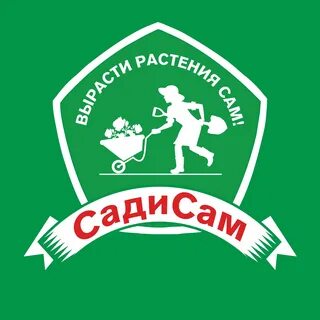 Садис