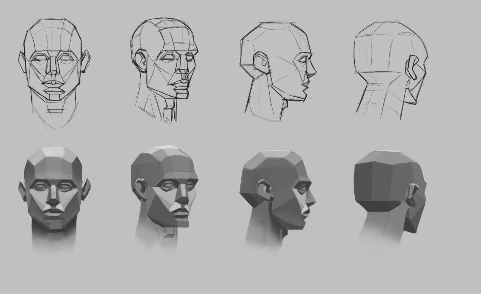 Голова сбоку референс. Референсы головы снизу. Лицо снизу референс. Лицо сбоку референс. Ракурсы головы референс