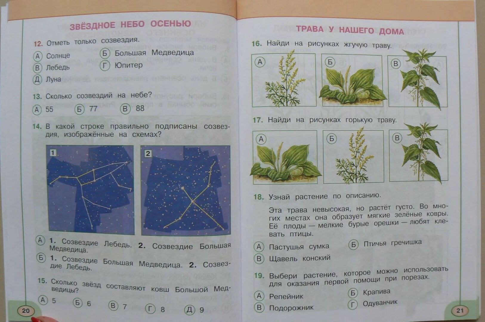 Красная книга 2 класс окружающий мир тест. Окружающий мир Плешаков тесты. Окружающий мир 2 класс тесты Плешаков. Тесты окружающий мир перспектива Плешаков Новицкая. Тесты окружающий мир 2 класс Плешакова.