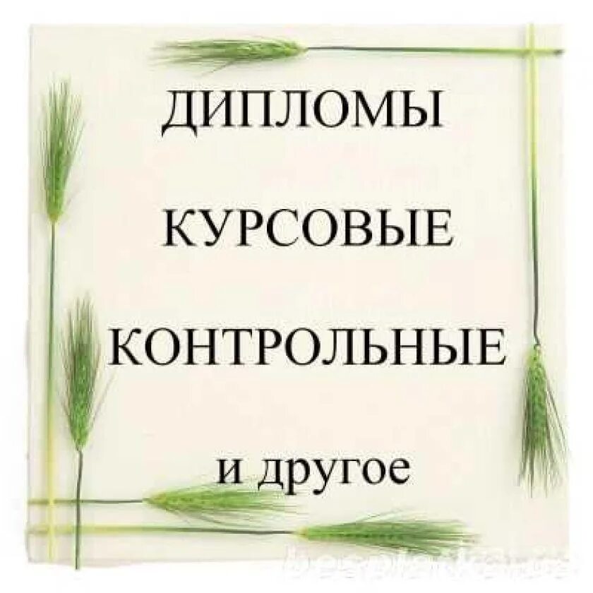 Дипломная на заказ. Дипломы курсовые. Курсовые дипломные. Курсовые и дипломные работы. Дипломы курсовые рефераты.