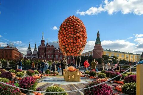 Куда сходить в москве осенью