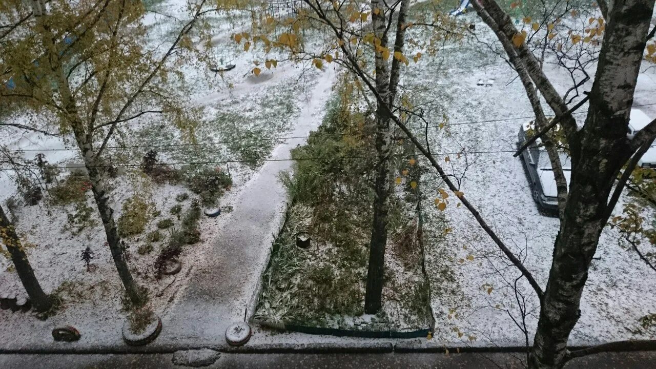 Толстого 1 снег. Первый снег в городе. Череповец первый снег. Первый снег Уссурийск. Мончегорск осень первый снег.