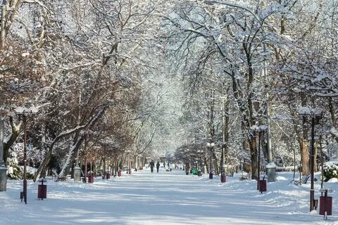 Погода в нальчике в ноябре месяце