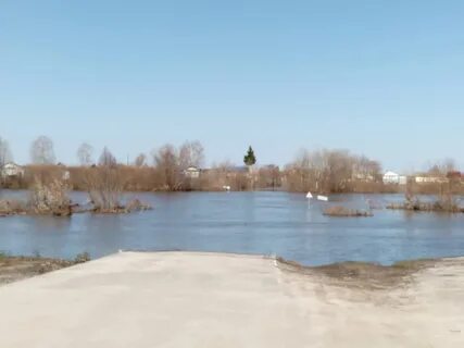 Мост в пурдошках сегодня 2024