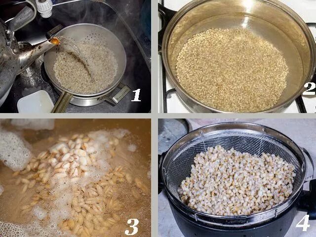 Отварить перловку правильно. Перловка каша на воде. Рецепт приготовления перловой каши. Как варить перловую крупу. Пропорции приготовления перловки.