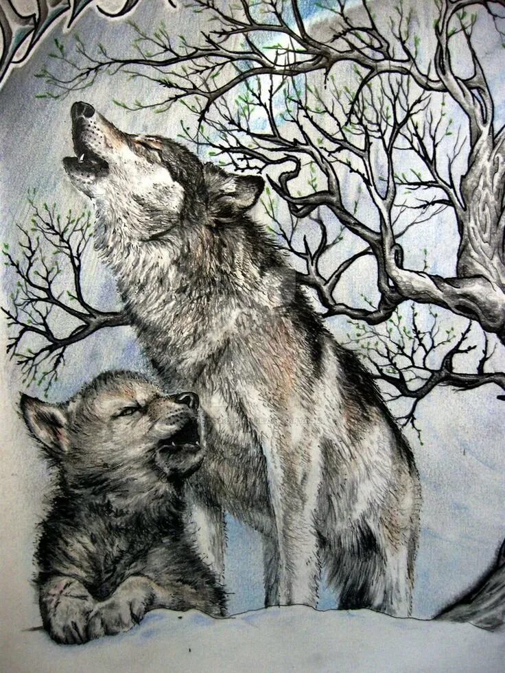 картины карла брендерса волки. семья волков эскиз. тату волчица с волчатами. волк с волчатами эскиз. волчонок эскиз.