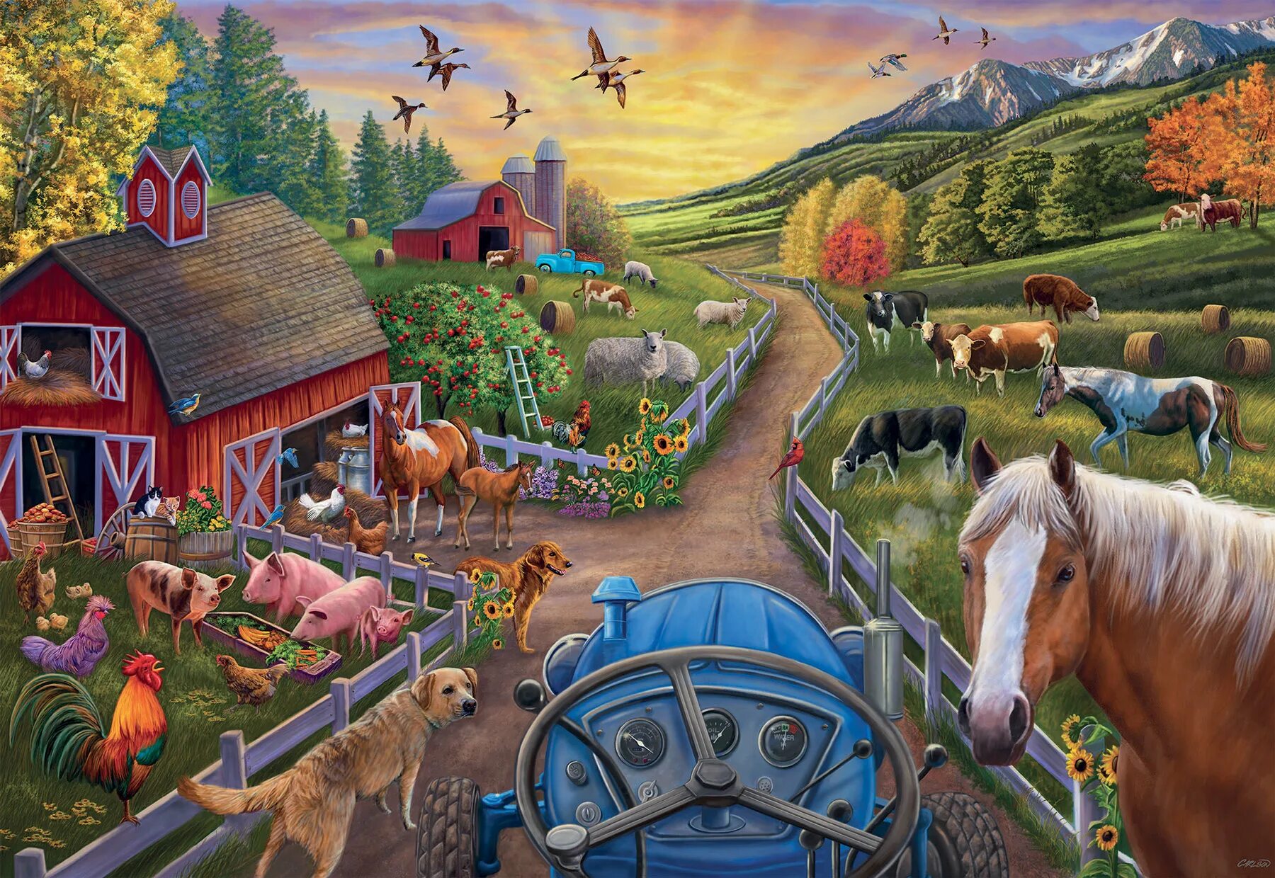 Farming 24