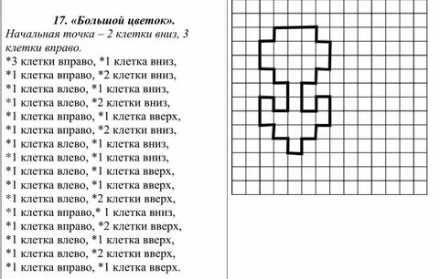 Графический диктант цветок