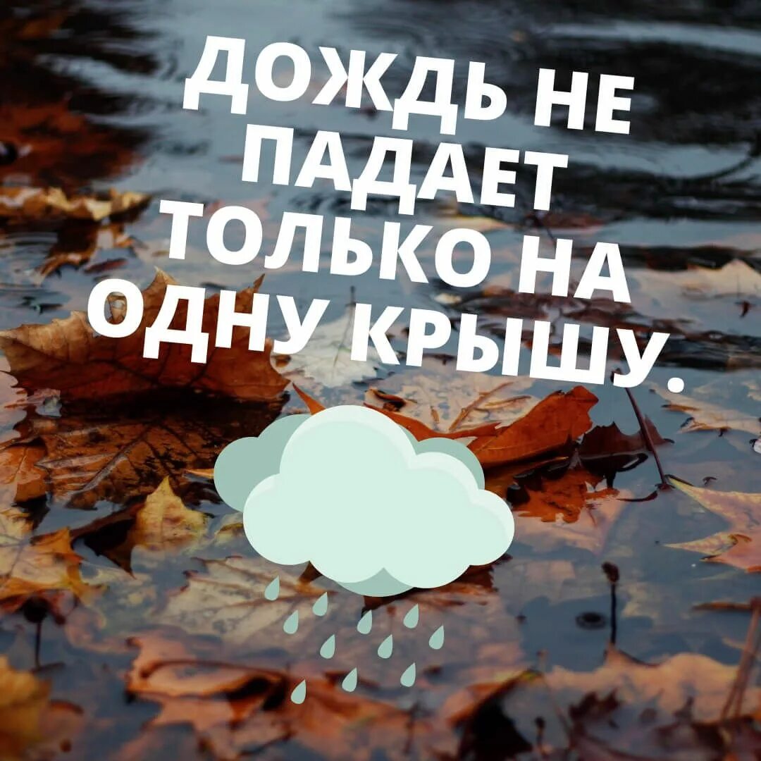 Дождь цитаты. Высказывания про дождь. цитаты про дождь. мудрые высказывания про дождь. афоризмы о дожде красивые.