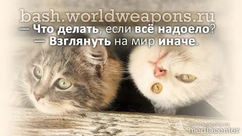 Что делать если все надоело