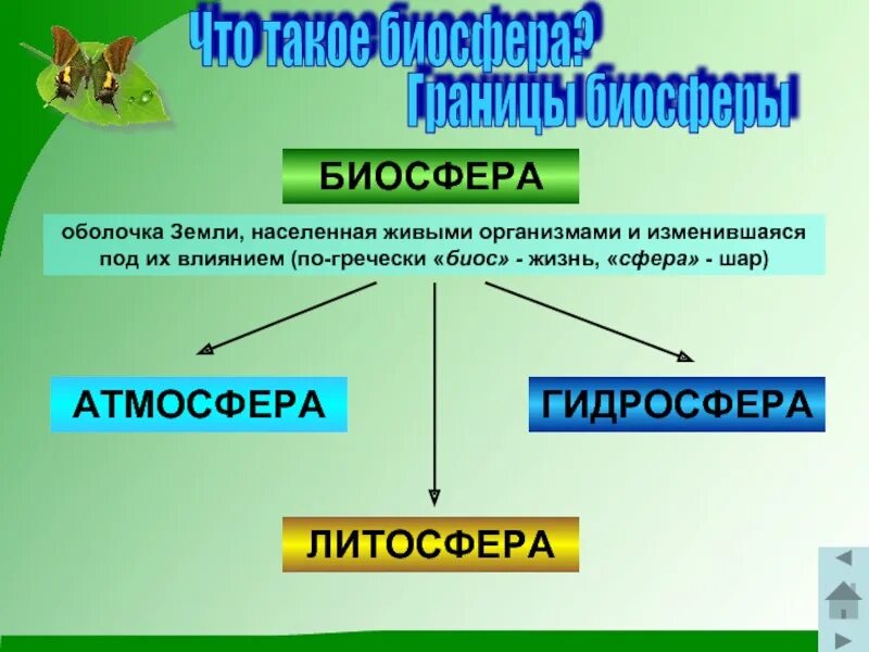 Оболочка земли населенная живыми организмами это. Оболочка земли населенная живыми. Оболочка земли населенная живыми организмами. Биосфера. Биосфера земная оболочка земли.