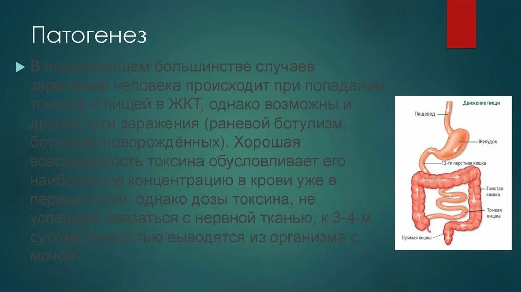 Также в большинстве случаев