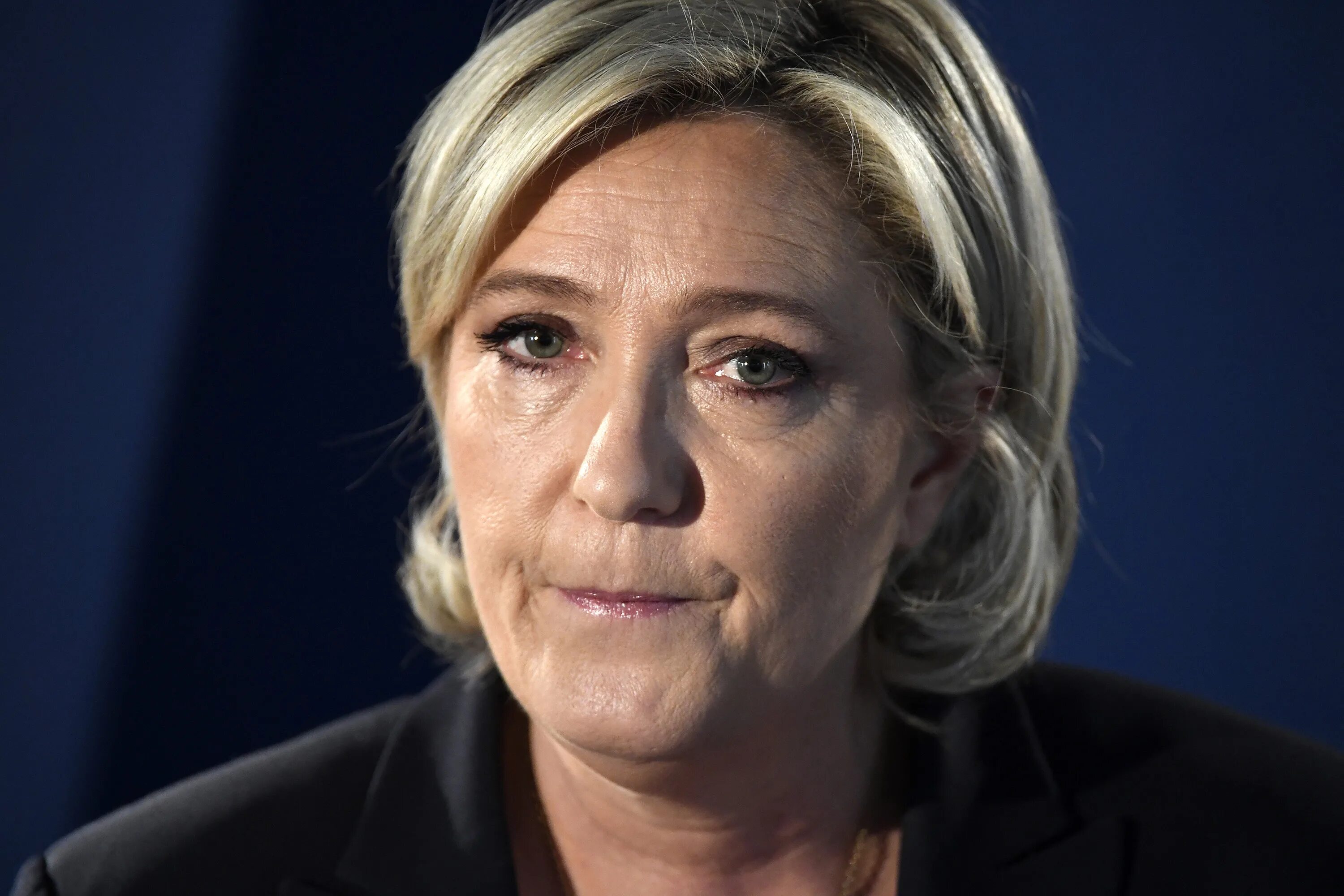 Ле пен Франция. Marine le Pen. Мари Ле пен фото. Мари липен