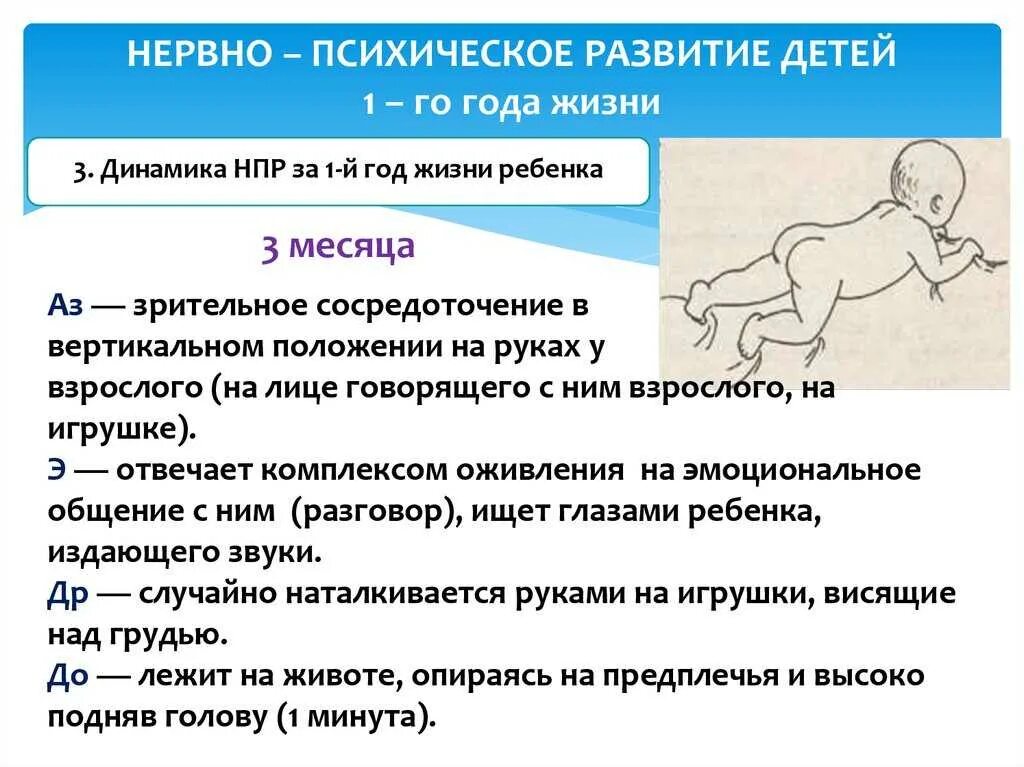 Ребенок год и 5 месяцев развитие. Этапы развития грудного ребенка. Нервно психическое развитие ребенка по месяцам. Развитие ребенка первого года жизни. Развитие детей по месяцам психоэмоциональное.