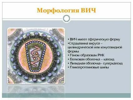 Форма вич