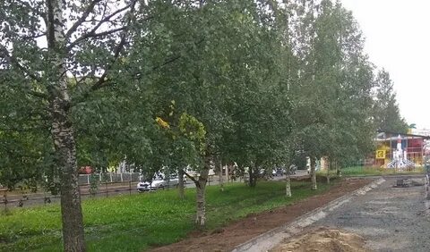Березовая аллея петрозаводск