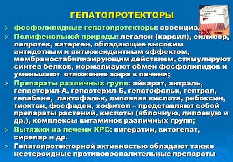 Гепатопротекторным действием можно отнести