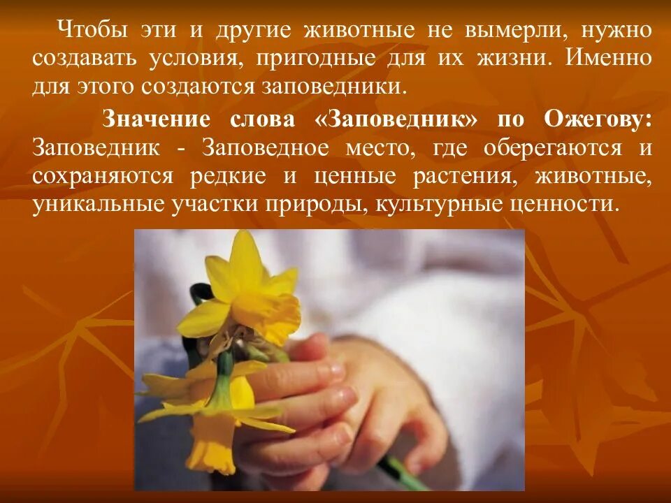 Сообщение берегите природу 6 класс. Выступление на тему беречь природу. выступление на тему берегите природу. публичное выступление на тему берегите природу. выступление по русскому на тему берегите природу.