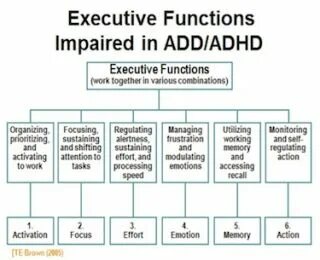 Execute function