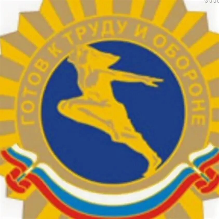 Гто в школе. Гто нижний новгород. Гто нижний новгород. Министр спорта нижегородской области. Челябинска.