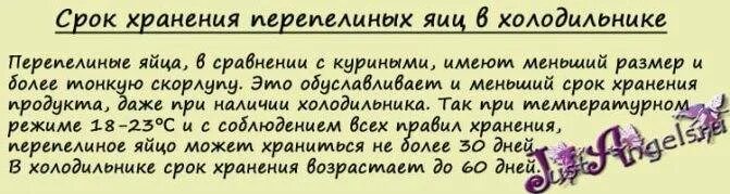 Сколько хранятся куриные яйца без холодильника. Срок хранения перепелиных яиц. Срок годности перепелиных яиц. Хранение перепелиных яиц в холодильнике. Срок хранения перепелиных яиц в холодильнике.