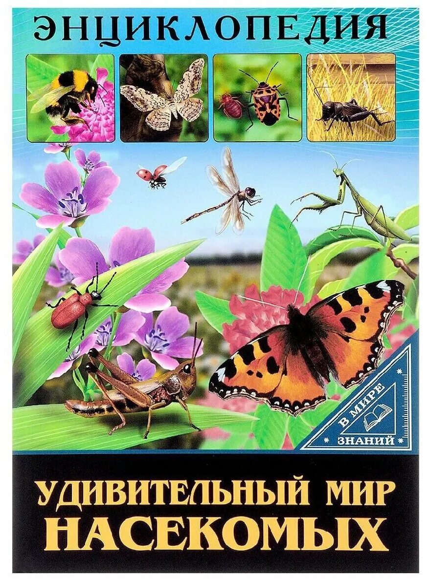 Удивительный мир книг. Детская энциклопедия. Детская энциклопедия росмэн мир растений. Энциклопедия «живая природа». Удивительный мир энциклопедий.