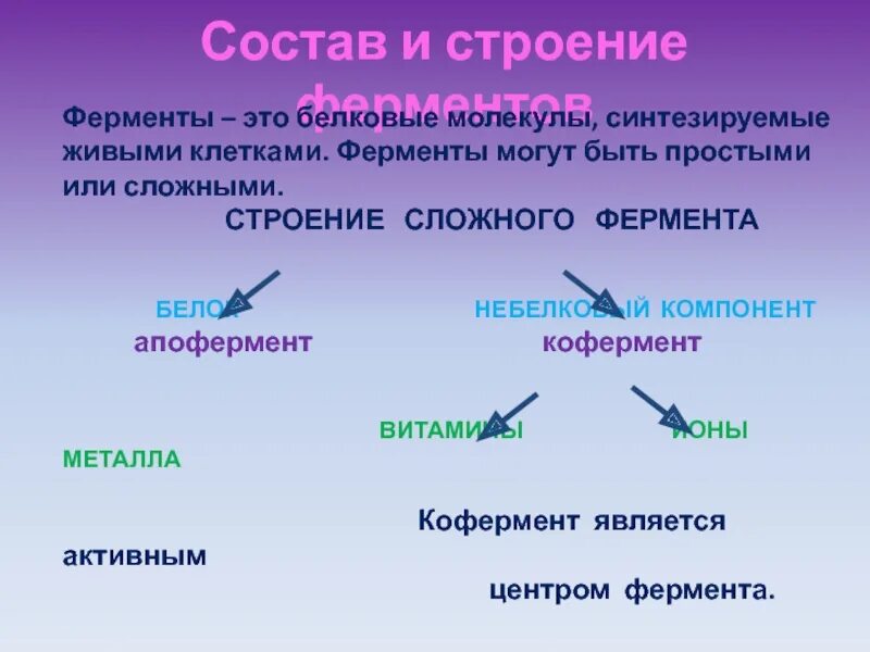 Простые и сложные ферменты. Ферменты белковые молекулы. Сложные ферменты примеры. Химическая природа небелкового компонента фермента.