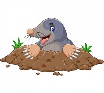 Out of the hole