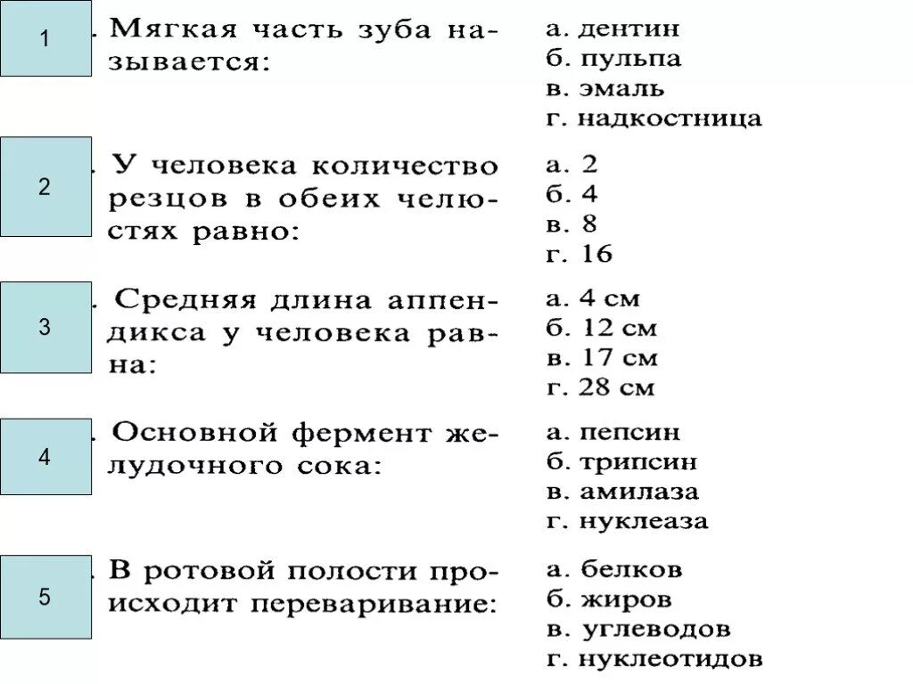 8 вид 8 класс тесты. Зачет по пищеварительной системе 8 класс. Тест по пищеварению. Тест на тему пищеварение. Тест по биологии на тему пищеварение.