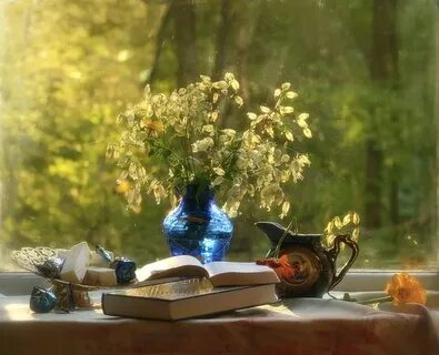 Книга утро вечера