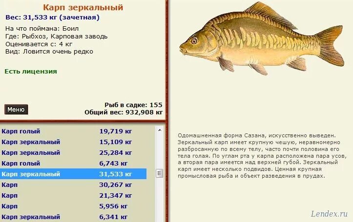 карп размеры и возраст. зеркальный карп вес. сколько лет карпу. размер карася по возрасту. карп возраст вес размер.