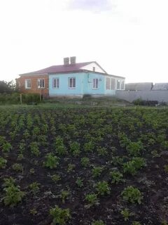 Погода петровск саратовская область асметовка