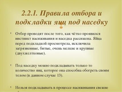 Сколько яиц можно подложить под курицу наседку