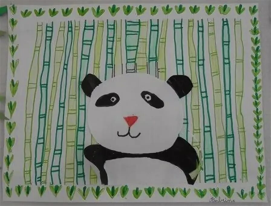 Visual panda. Visual panda