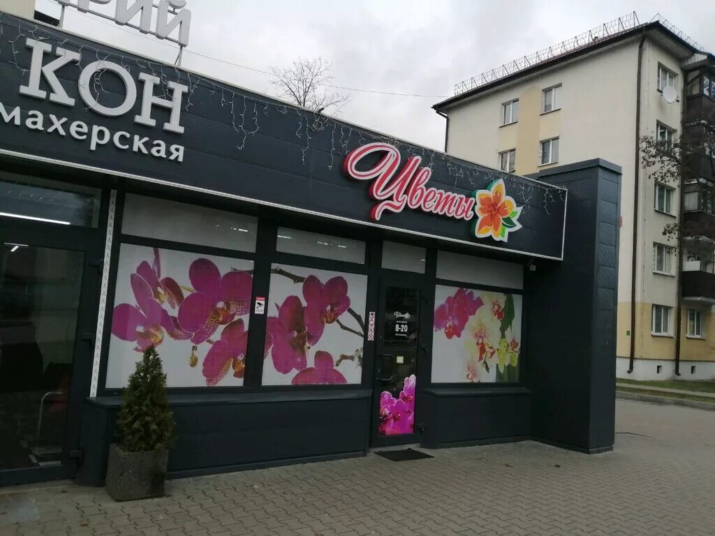 брестжилстрой ул. 8 брест. партизанский проспект 8. брест, улица янки купалы, 136. брестская 8 волгоград.