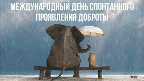 День спонтанного проявления