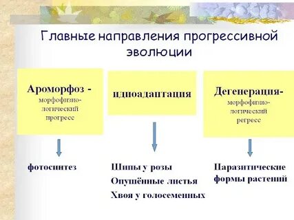 Главные направления эволюции биология