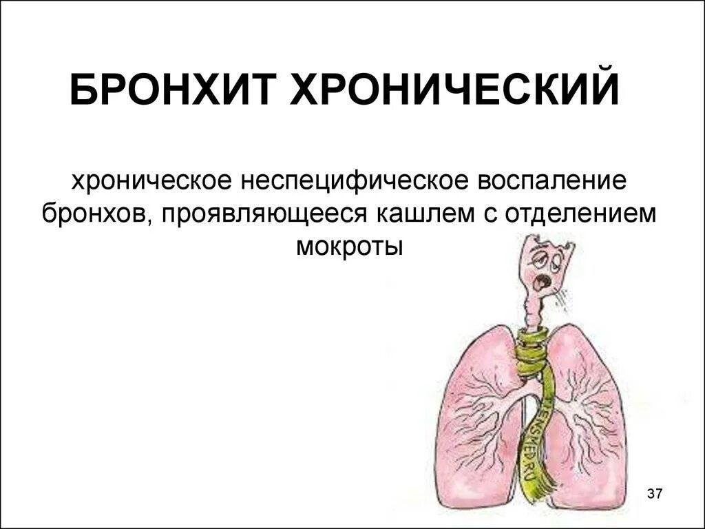 Хроническое заболевание с кашлем. Острый и хронический бронхит симптомы. Хроническое заболевание бронхов. Заболевания органов дыхания бронхит. Заболеваниях органов дыхания у детей бронхит.