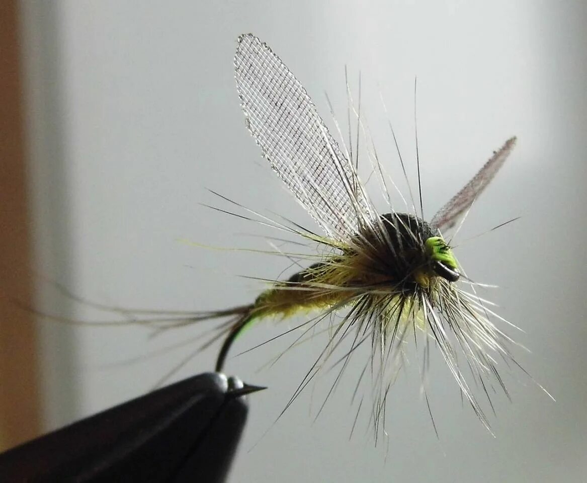 муха-цокотуха. муха цокотуха комарик. муха цокотуха с комаром иллюстрации. мушки на хариуса. сибирский лов мушки на хариуса.