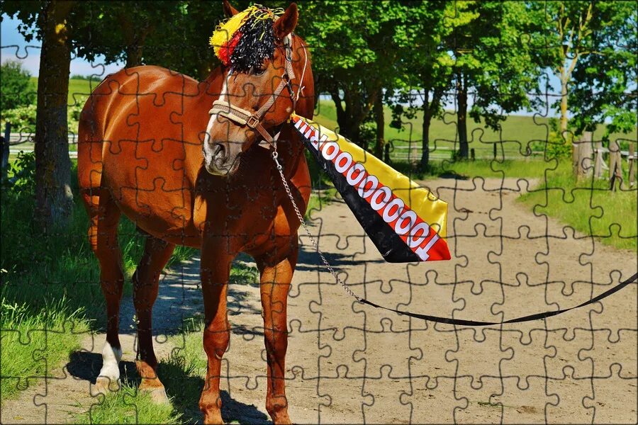 Сыграл коня. Утка лошадь. Лошадь играет на пианино гифка. Клавиатура с лошадьми. Лошадь играет на пианино гифка.